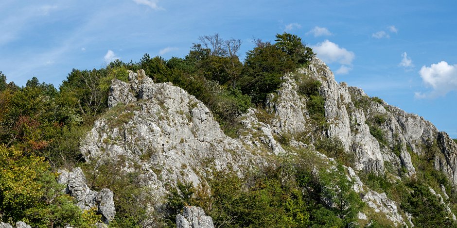 IMG_6001-Pano