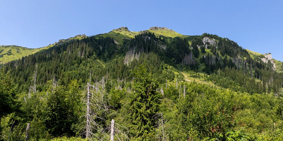 IMG_8922-Pano